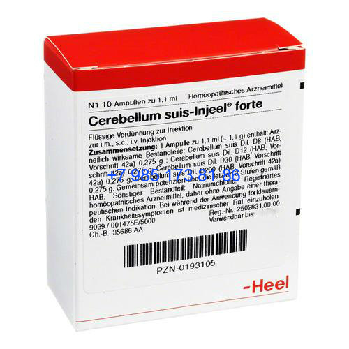 Cerebellum suis
