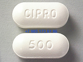 MIP85130.jpg