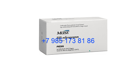 Muse 500