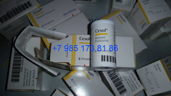 Празиквантел Празиквантел